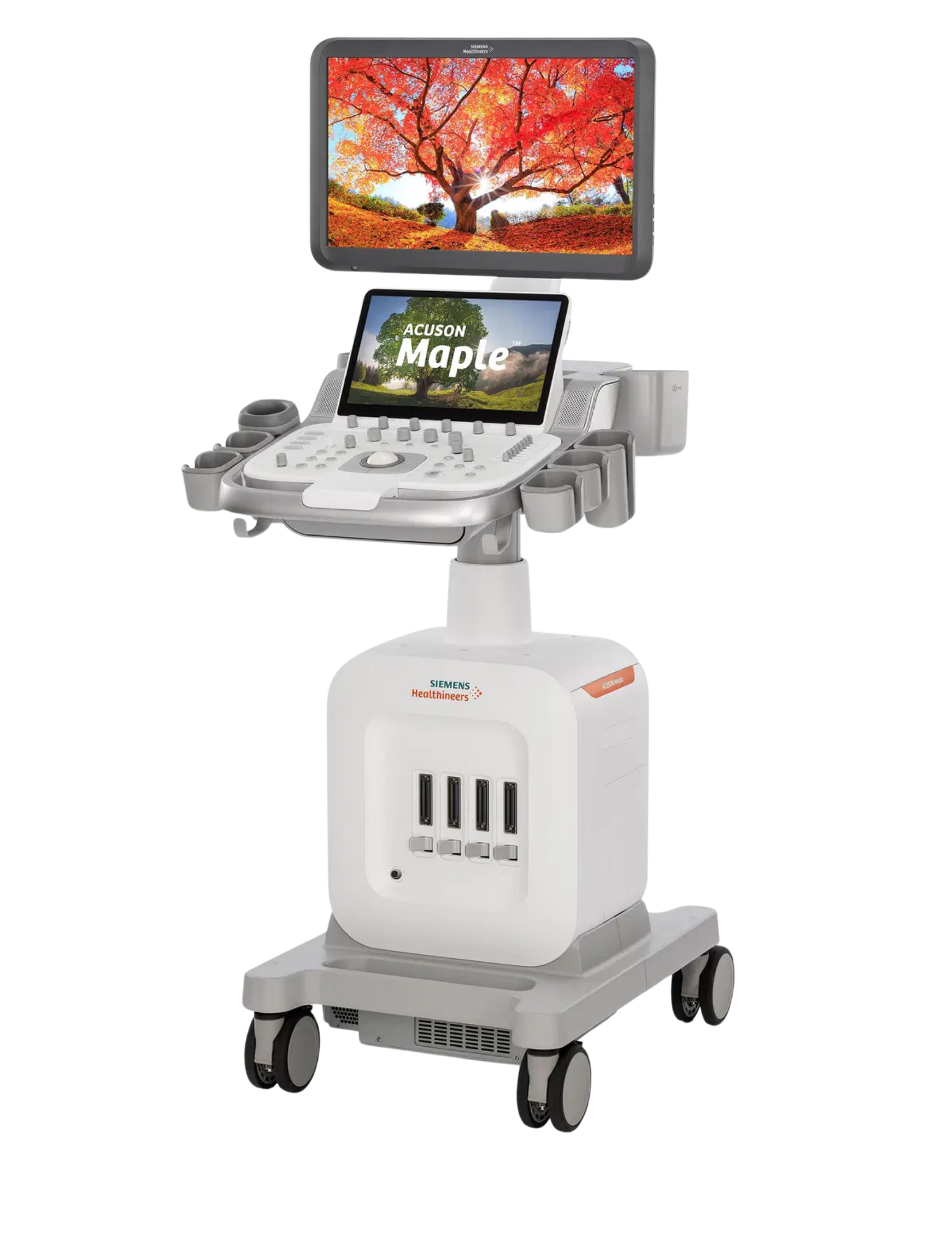 Ultralydsscanner ACUSON Maple Secma