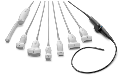 Sonosite Tranducers All